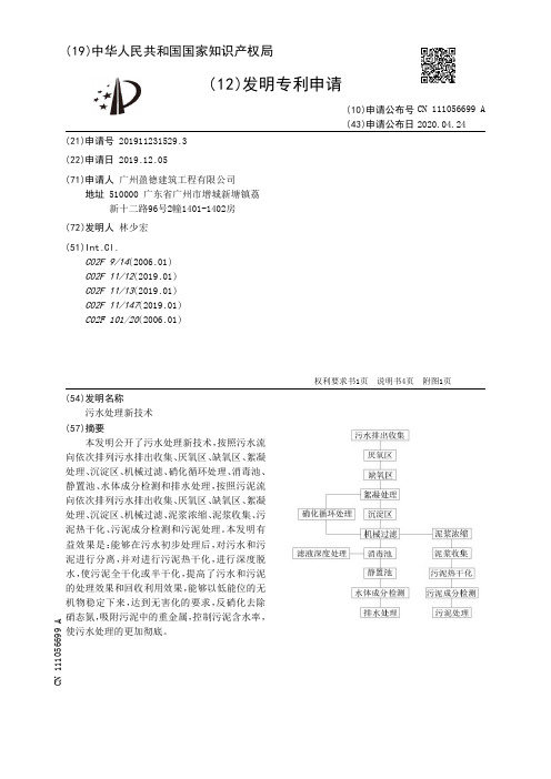 污水处理新技术[发明专利]