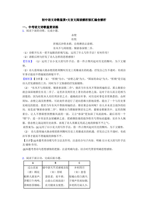 初中语文诗歌鉴赏+文言文阅读解析版汇编含解析