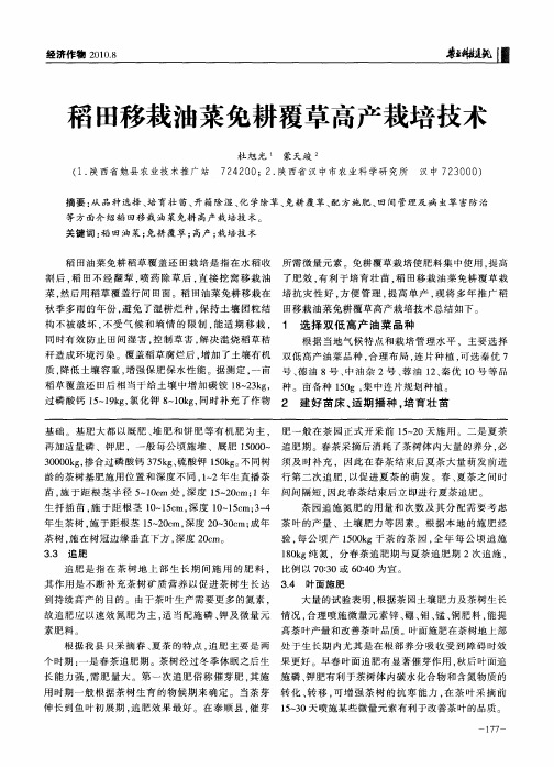 稻田移栽油菜免耕覆草高产栽培技术