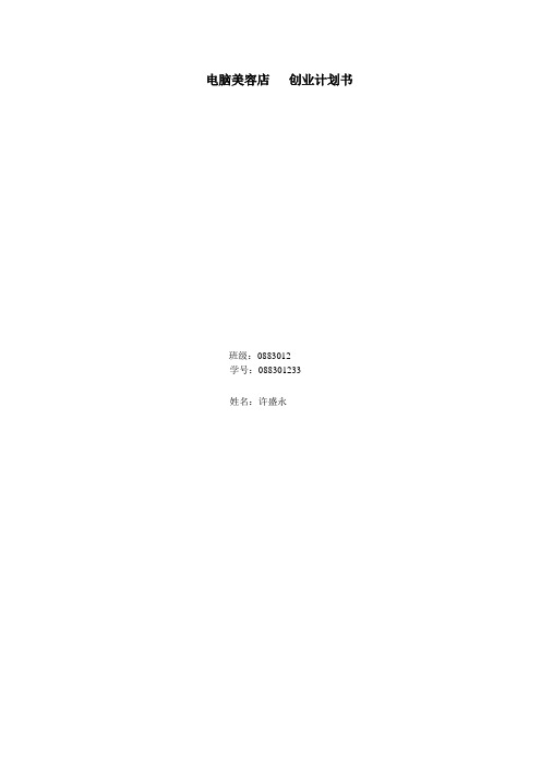 电脑美容店 创业计划书