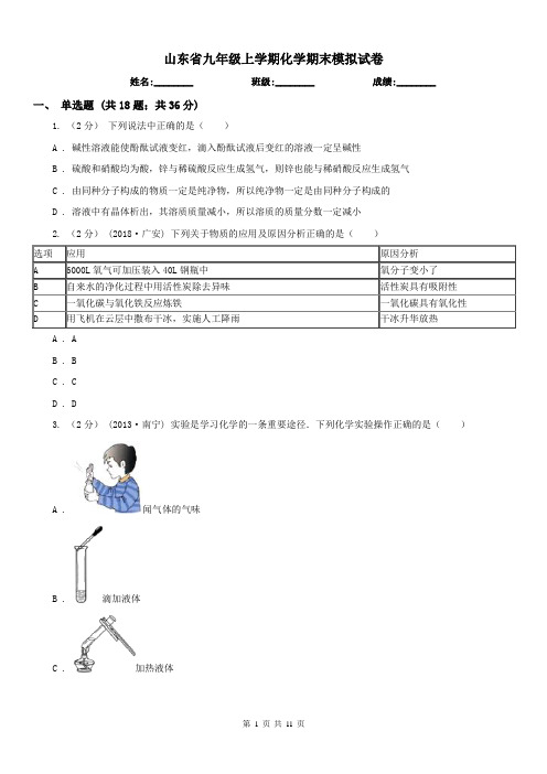 山东省九年级上学期化学期末模拟试卷