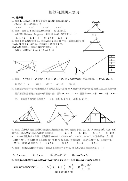 相似期末复习