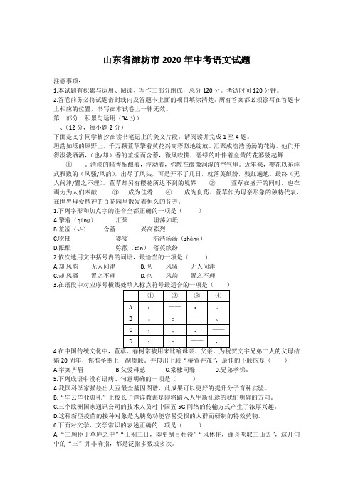 山东省潍坊市2020年中考语文试题【含原卷版和解析版】