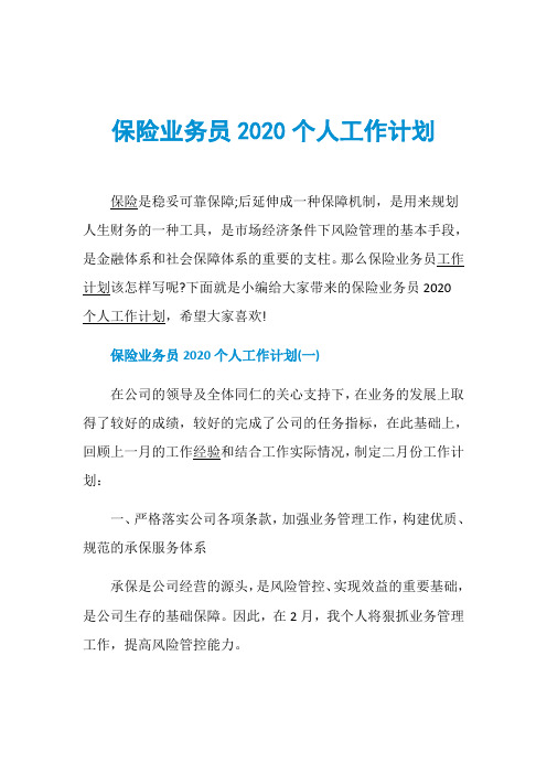 保险业务员2020个人工作计划