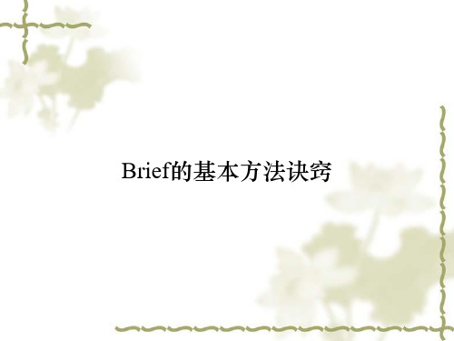 Brief的基本方法诀窍