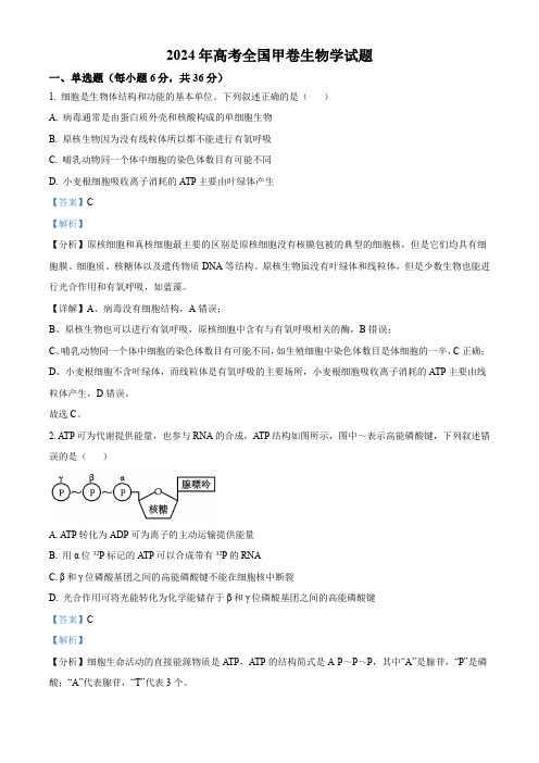 精品解析：2024年全国甲卷理综生物高考真题试卷(解析版)