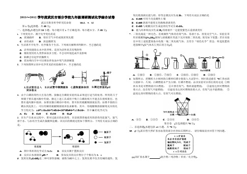 2012武汉市九年级四月调考化学试卷word版