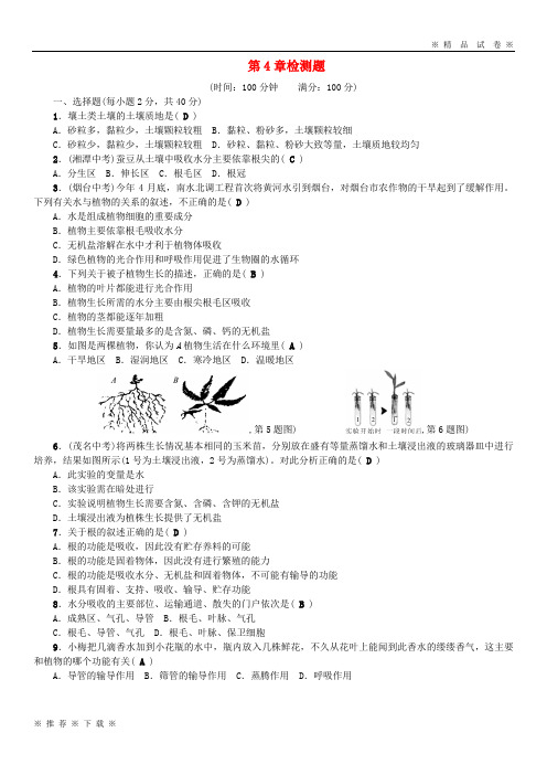 (部编版)2020八年级科学下册4植物与土壤检测题新版浙教版109