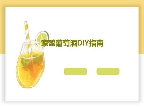 家酿葡萄酒DIY指南22页PPT