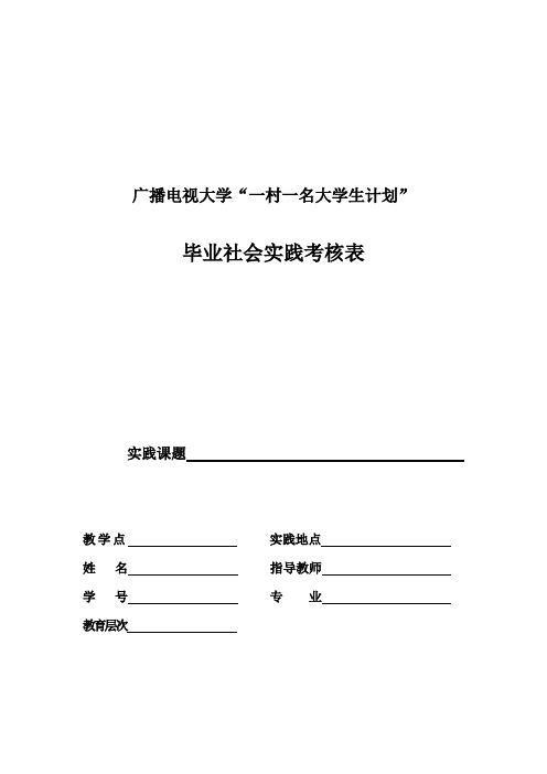 毕业社会实践考核表