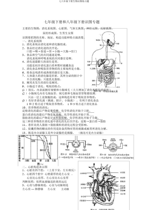 七八年级下册生物识图练习题