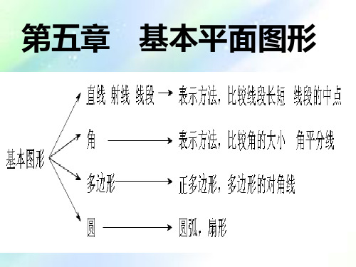 鲁教版数学六年级下册第五章《基本平面图形》复习