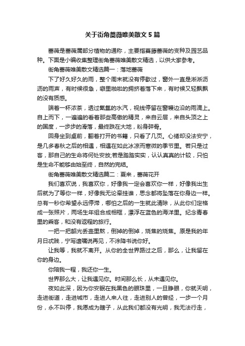 关于街角蔷薇唯美散文5篇