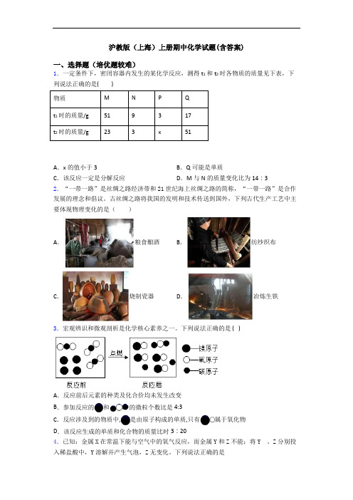 沪教版(上海)上册期中初三化学试题(含答案)