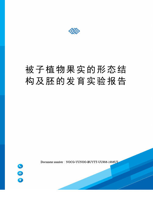 被子植物果实的形态结构及胚的发育实验报告