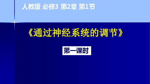 通过神经系统的调节说课课件2020-2021学年高二上学期生物人教版必修3