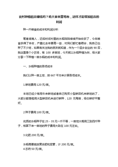 农村种植稻谷赚钱吗？给大家来算笔帐，这样才能增加稻谷的利润