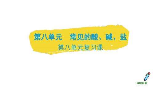 第八单元+常见的酸、碱、盐复习课课件---2024-2025学年九年级化学科粤版(2024)下册