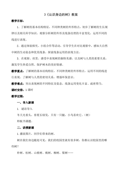 二年级下册美术-3《认识身边的树》【教案】