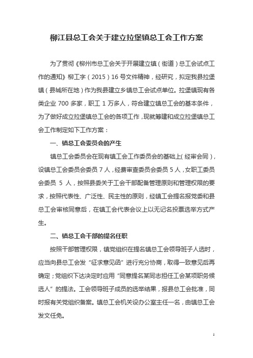 关于建立乡镇总工会工作方案