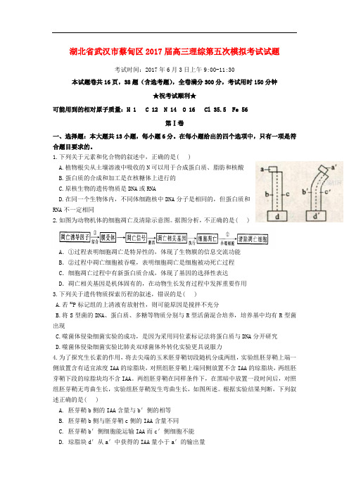 湖北省武汉市蔡甸区高三理综第五次模拟考试试题