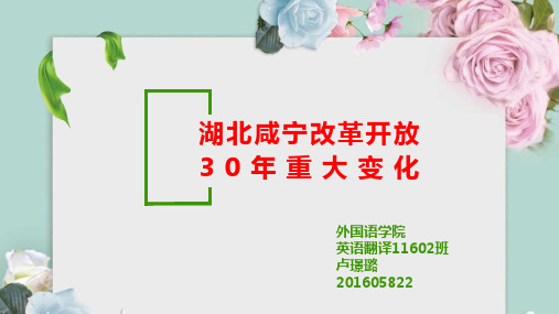 湖北咸宁改革开放30年重大变化