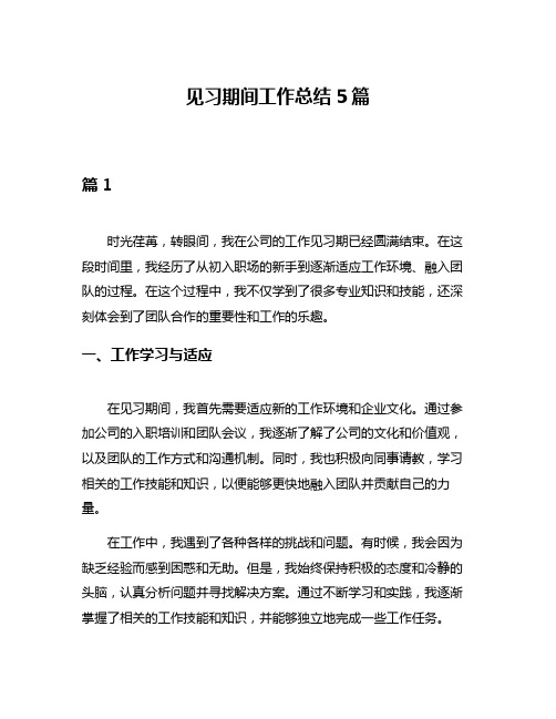 见习期间工作总结5篇