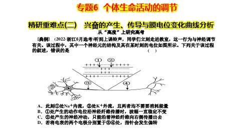 专题6 个体生命活动的调节 精研重难点(二) 兴奋的产生、传导与膜电位变化曲线分析