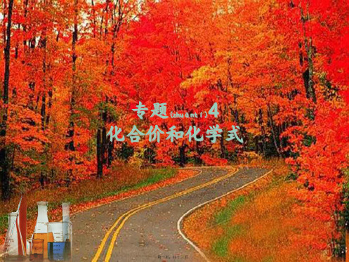 中考化学专题复习 专题4 化合价和化学式课件