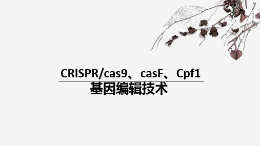 基因编辑技术比较CRISPR Cas9,casF,Cpf1 ppt