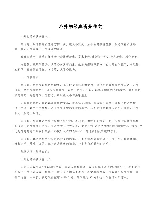 小升初经典满分作文