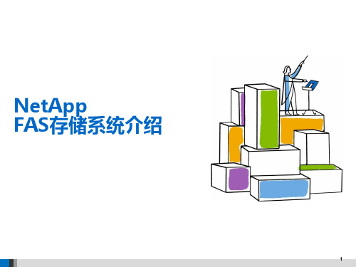 NetApp FAS存储系统介绍