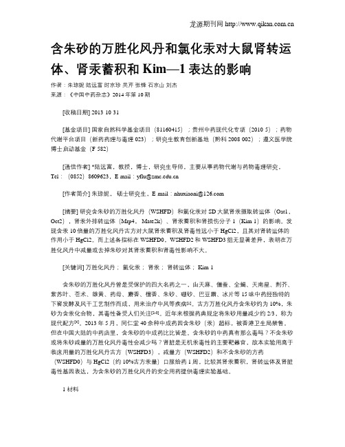 含朱砂的万胜化风丹和氯化汞对大鼠肾转运体、肾汞蓄积和Kim—1表达的影响