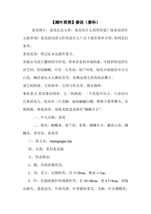 【阔叶草类】姜花(姜科)