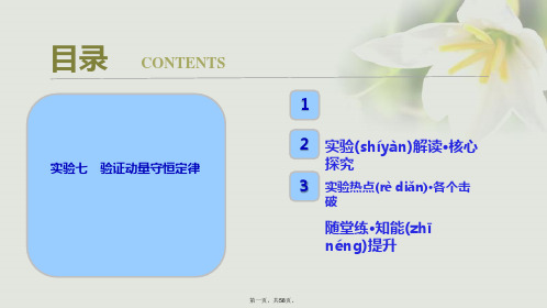 高考物理一轮复习第六章动量实验七验证动量守恒定律课件