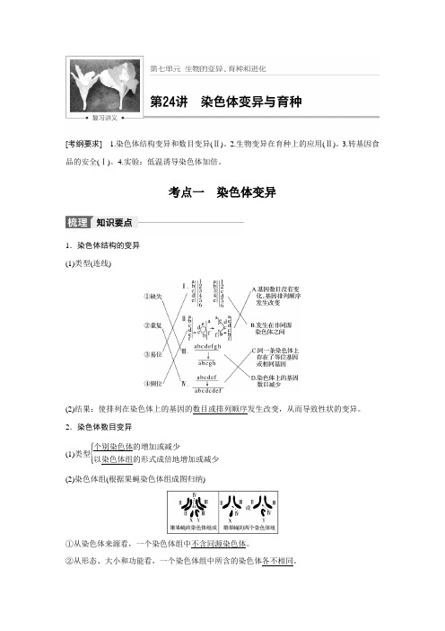 步步高 一轮复习生物第七单元  第24讲