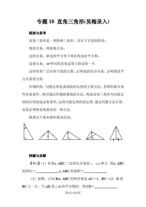 八年级数学培优专题 专题18  吴梅录入