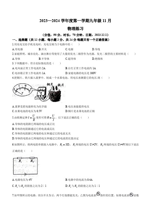 江苏省宿迁市沭阳县怀文中学2023-2024学年九年级上学期11月月考物理试题