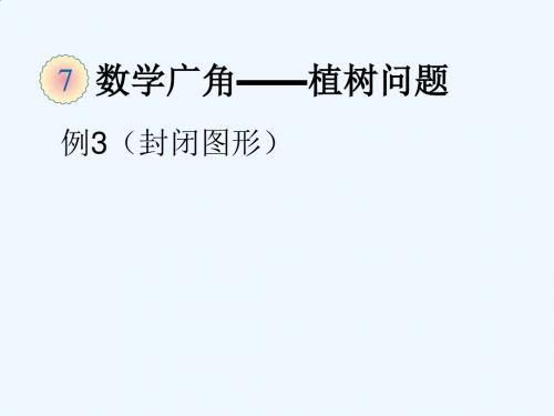 植树问题(封闭图形)
