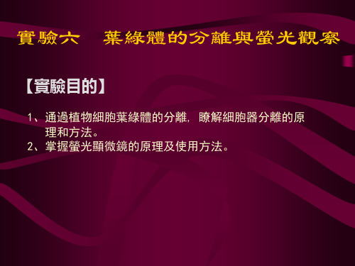 细胞生物学实验课件-叶绿体的分离与荧光观察