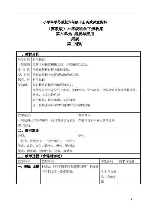 小学科学苏教版六年级下册高效课堂资料教案 拓展 2 第二课时