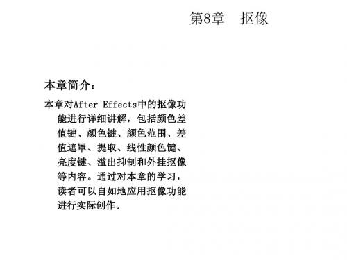 After Effects CS6影视后期制作标准教程 (8)