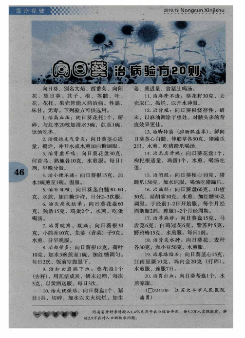 向日葵治病验方20则