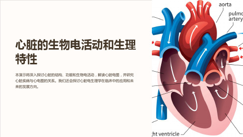 心脏的生物电活动和生理特性