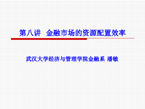 第八讲 金融市场的资源配置效率