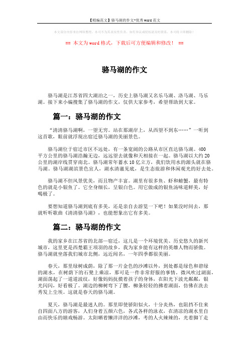 【精编范文】骆马湖的作文-优秀word范文 (3页)