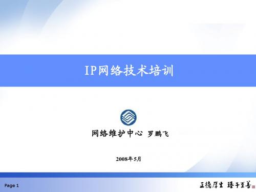 IP网络技术