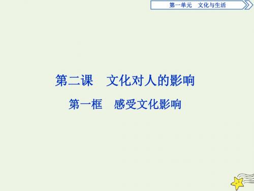 (浙江新高考专版)2019_2020学年高中政治第二课第一框感受文化影响课件新人教版必修3