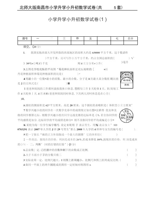 南昌市北师大版2019-2020小学升学小升初数学试卷(共5套)附详细答案