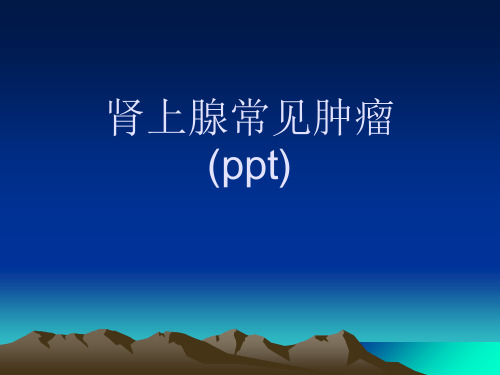 肾上腺常见肿瘤(ppt)